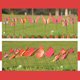 thumbnail image 3 of Maceta para exteriores, jardín artístico, patio, 12 unidades, estacas, parterre, patio, hogar, 3 of 6