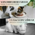 Cat Dishes for Food and Water, Multifunctional Silicone Feeding Bowl