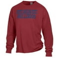 thumbnail image 2 of Men's ComfortWash Garnet South Carolina State Bulldogs Stack Garment Dyed Long Sleeve T-Shirt, 2 of 3