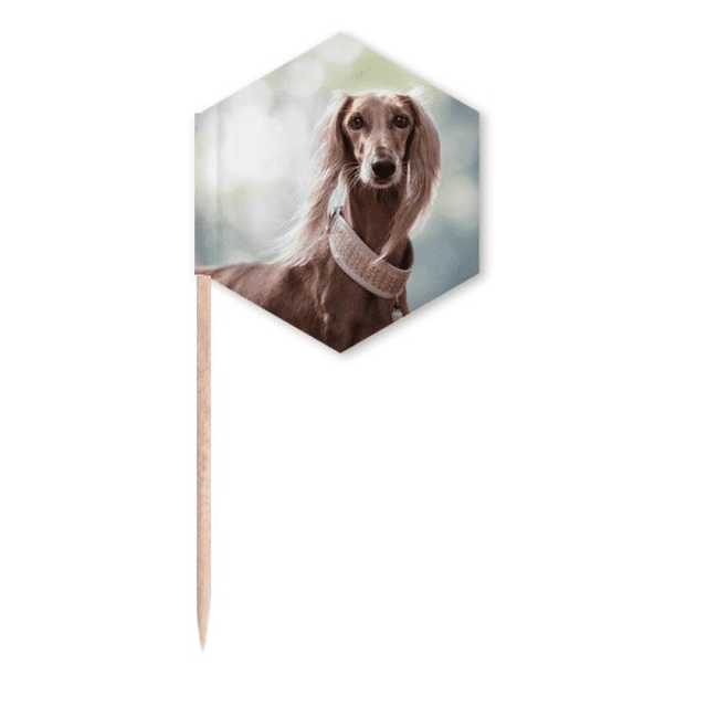Long Neck Dog Pet Animal Picture Toothpick Flags Cupcake Picks Party Celebration