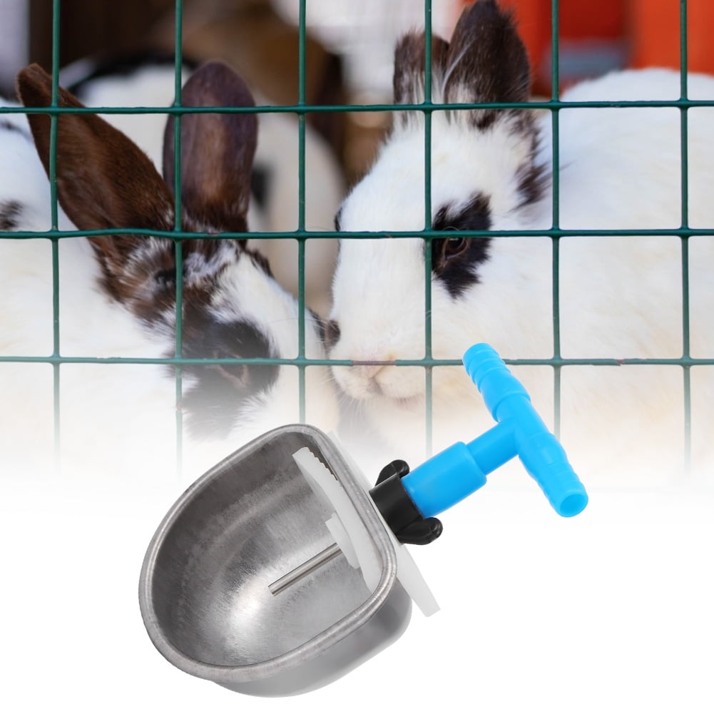 automatic rabbit waterer