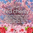 thumbnail image 3 of Air Wick Scented Oil Vibrant Refill Cherry Blossom & Raspberry, 5 Count, 3 of 8