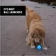thumbnail image 4 of Pelota LED Nite Ize GlowStreak de juguete para perros, impermeable y recargable, 4 of 9