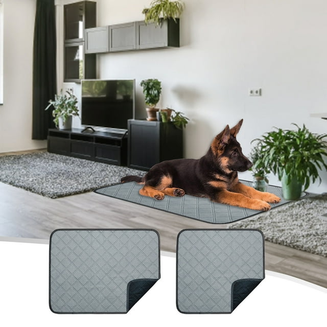 Tapis Absorbants Réutilisables pour Chien, 1 Pack de Tapis d'Entraînement Lavables pour Chiot pour la Protection contre les Fuites Urinaires, Offres Black&friday 2024, Offres Cyber&Monday 2024, PENDANE, Gris