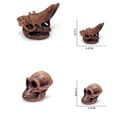 thumbnail image 2 of Kiplyki Ancient Animals Head Skeleton Model Skull Educational Toys Bones Decor, 2 of 6