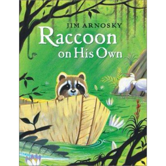 Pre-Owned Raccoon on His Own (Hardcover) 0399227563 9780399227561