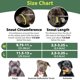 thumbnail image 3 of Cesta ligera Muzzle Mayerzon Pitbull para perros grandes, 3 of 7
