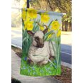 thumbnail image 2 of Carolines Treasures ASA2025CHF Lamb Flag Canvas House Size, 2 of 4