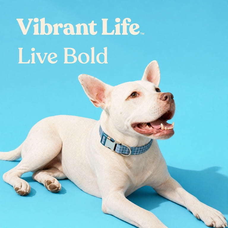 Vibrant Life Reflective Dog Collar, Blue Grid Pattern photo 4