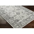 thumbnail image 3 of Hauteloom Kagawasan Living Room, Bedroom Area Rug - Traditional - Black, Gray - 2' x 3', 3 of 8