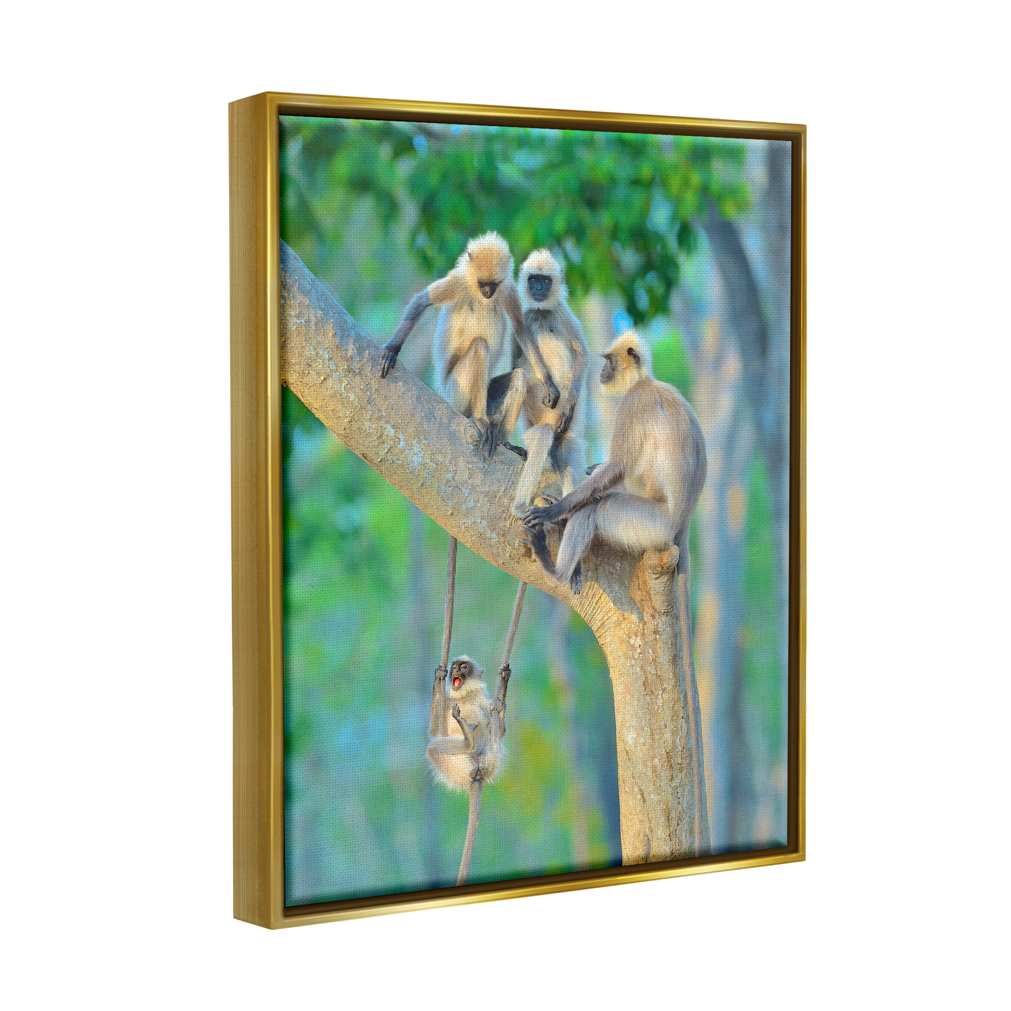 Stupell Industries Fun Playing Monkeys Animals & Insects Photography Gold Floater Framed Canvas Art Print Wall Art, 17 x 21