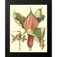 thumbnail image 2 of Unknown 12x14 Black Modern Framed Museum Art Print Titled - Botanical Fantasy I, 2 of 5