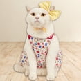 thumbnail image 4 of Dress Up Dog Dress 3Pcs/Set Suspenders, Elastic Shoulder Straps, Bowknot Hair Pin - Summer Floral Print Sleeveless Kitty Dog Dress Clothes - Pet Supplies, 4 of 8
