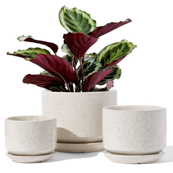 BEMAY Set of 3 Ceramic Plant Pots with Drainage Hole and Saucer, 4.3" 5.3" 6.8" Ceramic Flower Pots, Indoor Outdoor Planters for Home Patio Garden Decor, Reactive Glaze Beige