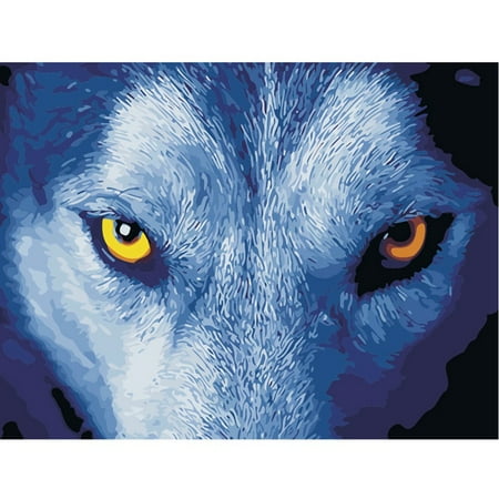 Frameless Oil Painting Set - Paint By Number Kit -Wolf Eyes- DIY Oil Painting 16x20