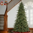 thumbnail image 2 of National Tree Company 7.5 ft Buckingham Blue Spruce Tree with Clear Lights, 2 of 3