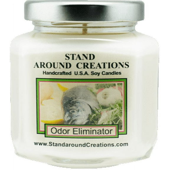 ODOR ELIMINATOR HEX 6-OZ. ALL NATURAL SOY CANDLE
