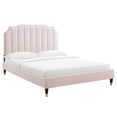 thumbnail image 2 of Modway Colette Queen Performance Velvet Platform Bed in Pink, 2 of 10