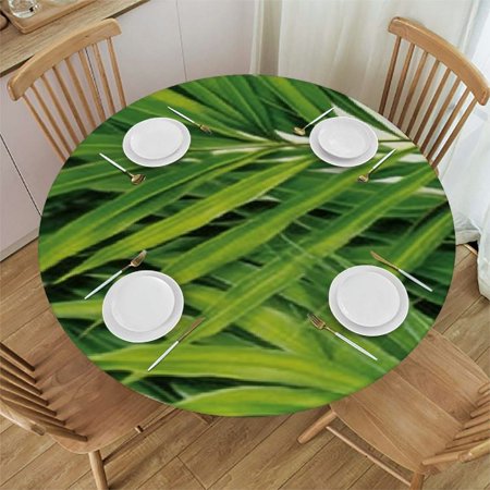 

Bamboo Round tablecloth with elastic edge Bamboo Leaf Illustration for Wellbeing Health Fresh Purity Tranquil