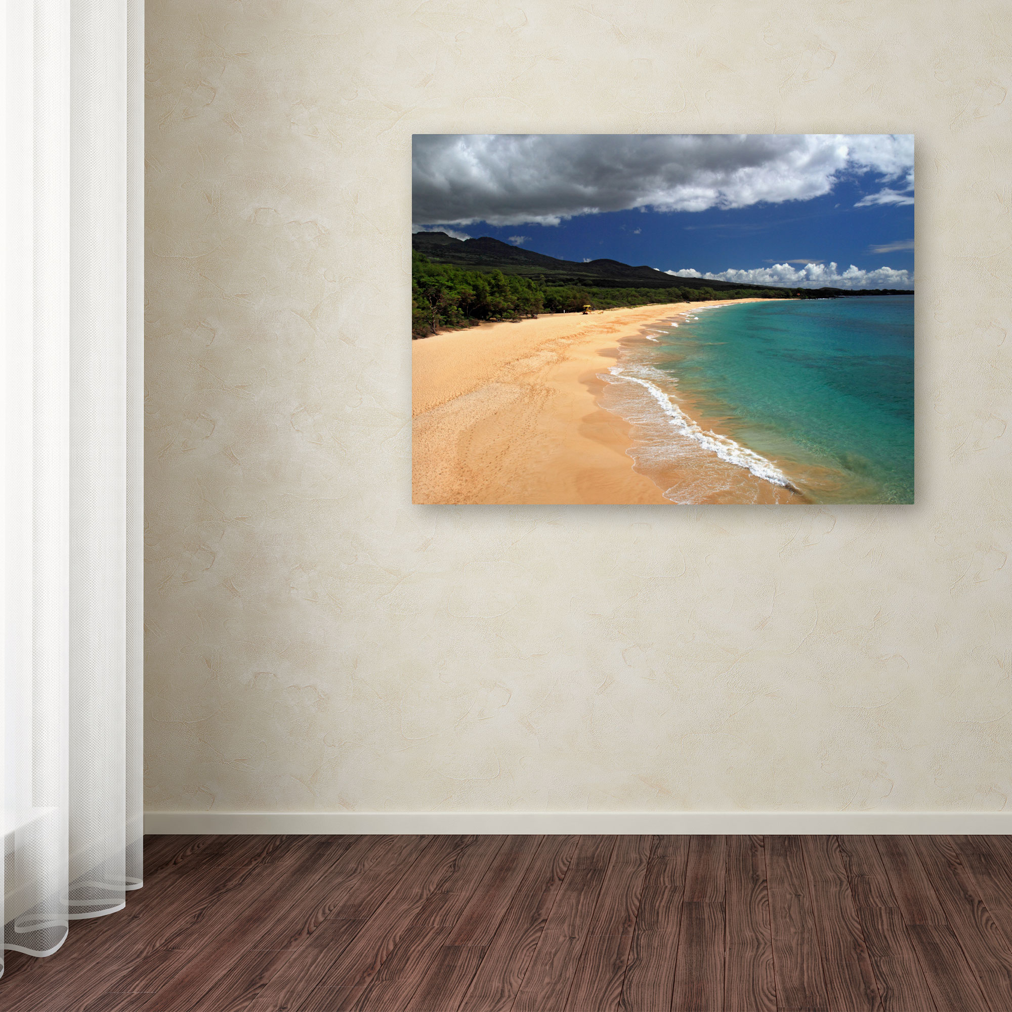 Trademark Fine Art "Makena Maui" Canvas Art by Pierre Leclerc