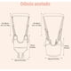 thumbnail image 3 of Arnés De Seguridad Para Caminar Respirable Bebes 8-24 Meses Modelo Rosa, 3 of 4