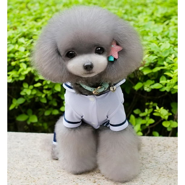Chien vetement femme outlet