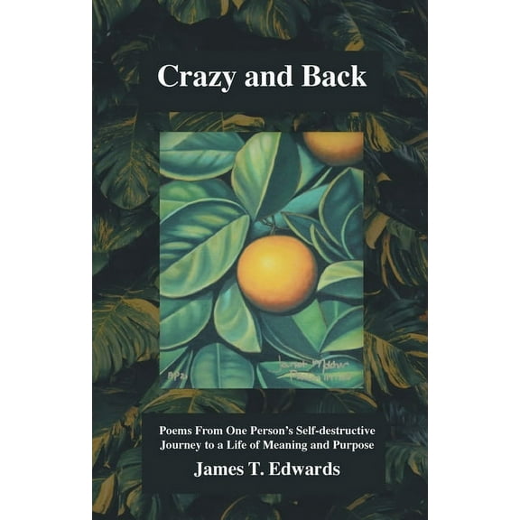 Crazy and Back: Poems From One Person's Self-destructive Journey to a Life of Meaning and Purpose (Paperback)