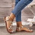 thumbnail image 5 of Women's Summer New Large Size Rhinestone Flat Transparent One-line Strap Sandals Sandals for Women 2025 Gold 43, 5 of 8