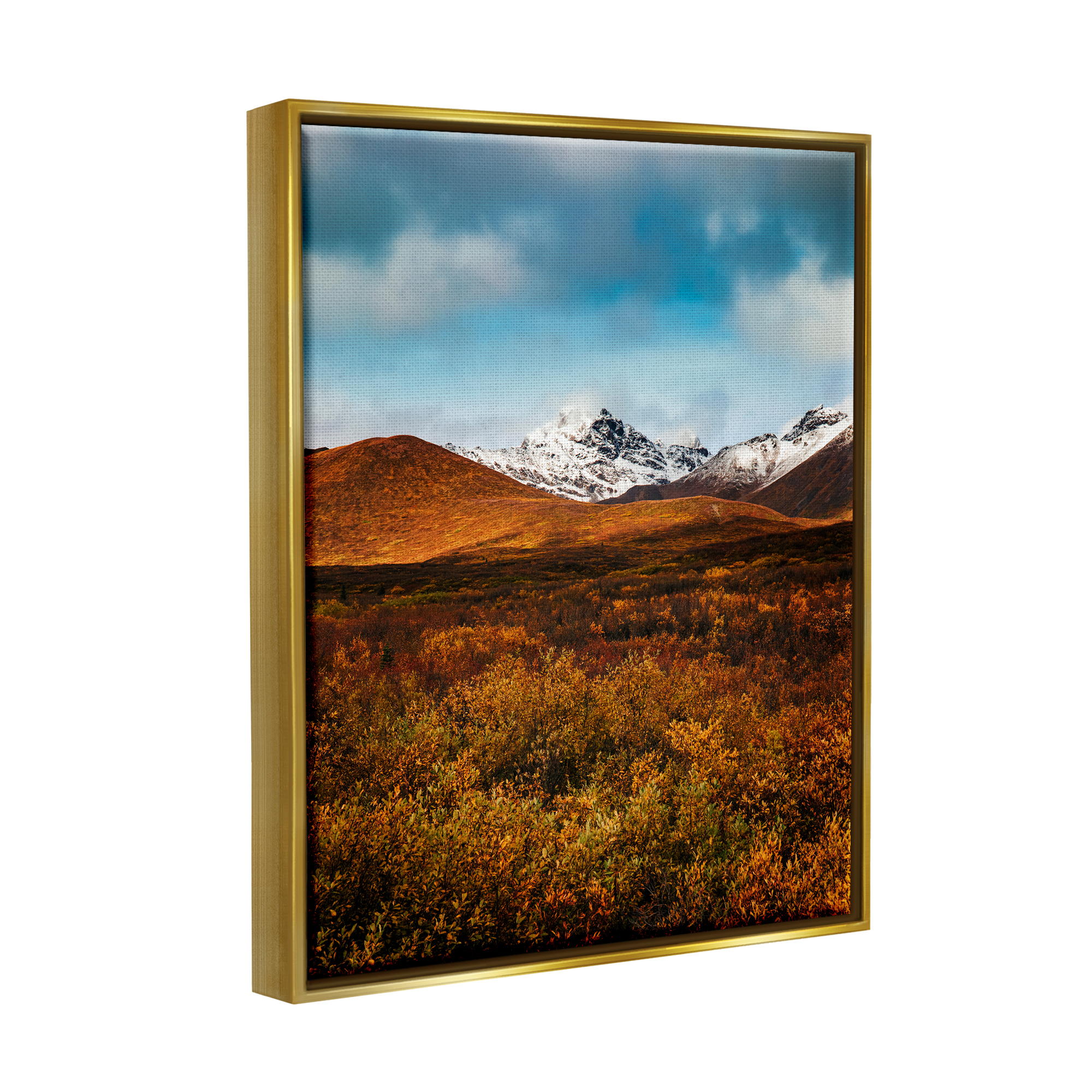 Stupell Industries Icy Mountain Landscape Landscape Photography Gold Floater Framed Canvas Art Print Wall Art, 25 x 31