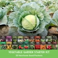 thumbnail image 4 of 20 Pack Vegetable Starter Kit Seed Vault - Beginner Friendly Heirloom Full Sun Annual Seeds, 4 of 9