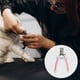 thumbnail image 2 of 1 Set de Cortauñas Duraderos para Mascotas con Lima para Perro y Gato 4.72"x2.76" Rosa Blanco, 2 of 6