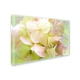 thumbnail image 2 of Trademark Fine Art 'Meditation' Canvas Art by Tina Lavoie, 2 of 3