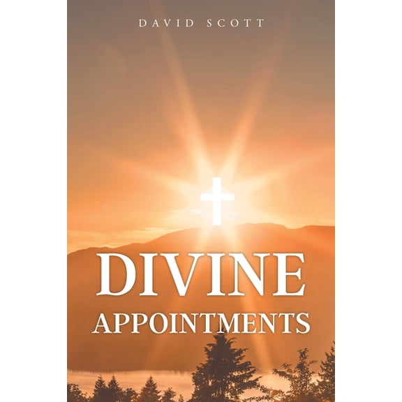 Divine Appointments (Paperback)