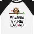 thumbnail image 4 of Inktastic Mamaw and Papaw Girl Granddaughter Owl Girls Toddler T-Shirt, 4 of 5