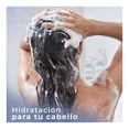 thumbnail image 4 of Shampoo Palmolive Neutro Balance Pro Cuidado Humectación y Dermo Protect + Control Caspa 375 ml, 4 of 4