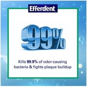 Efferdent Plus Mint Denture Cleanser Tablets 90 ea (Pack of 3)