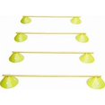 thumbnail image 1 of Carta Sport Mega Training Ladder Set (Pack of 5), 1 of 1