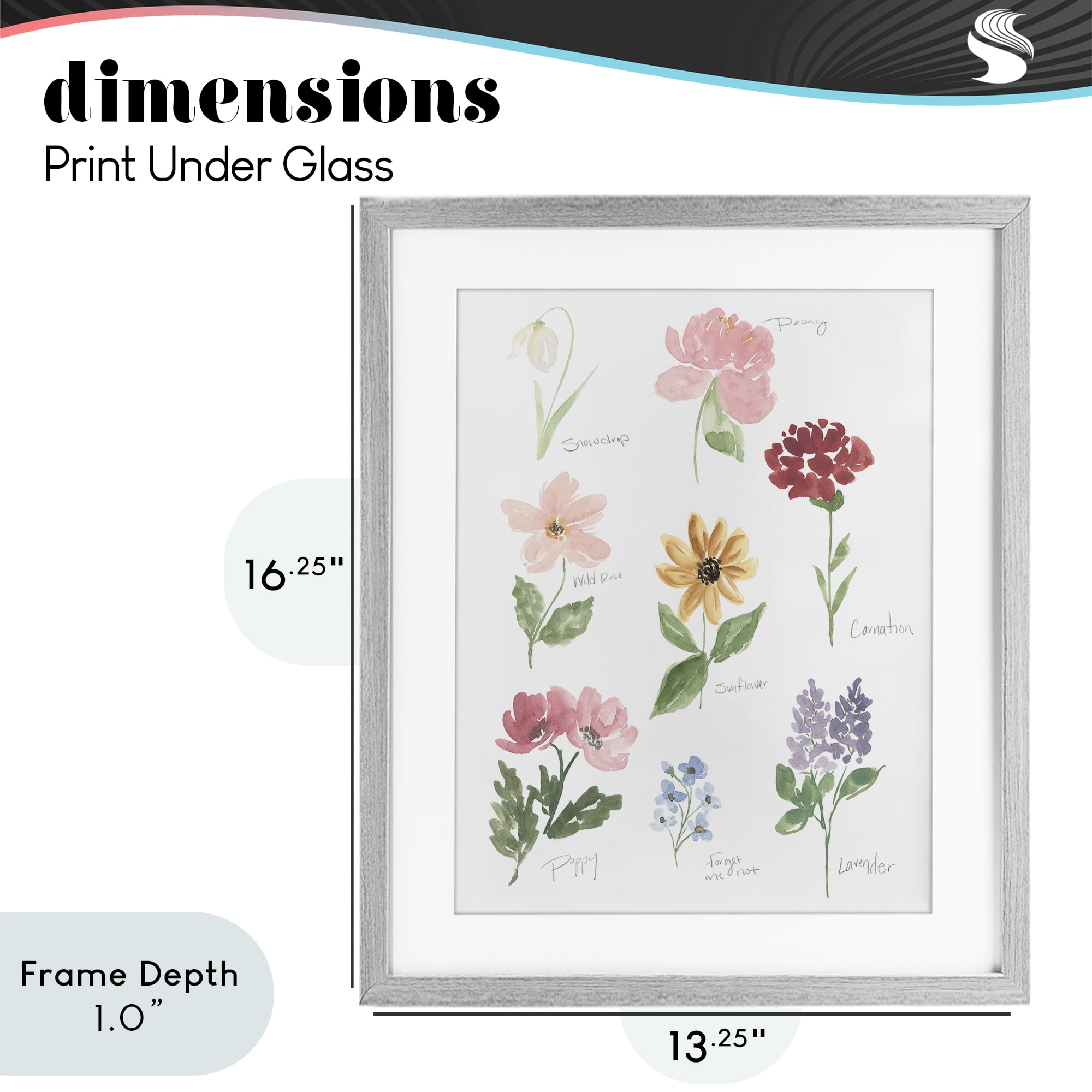 Stupell Industries Labeled Flower Varieties Gray Framed Print Under Glass, design by Lucille Price