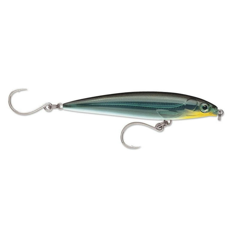  Rapala X-Rap Long Cast 14 Anchovy : Sports & Outdoors