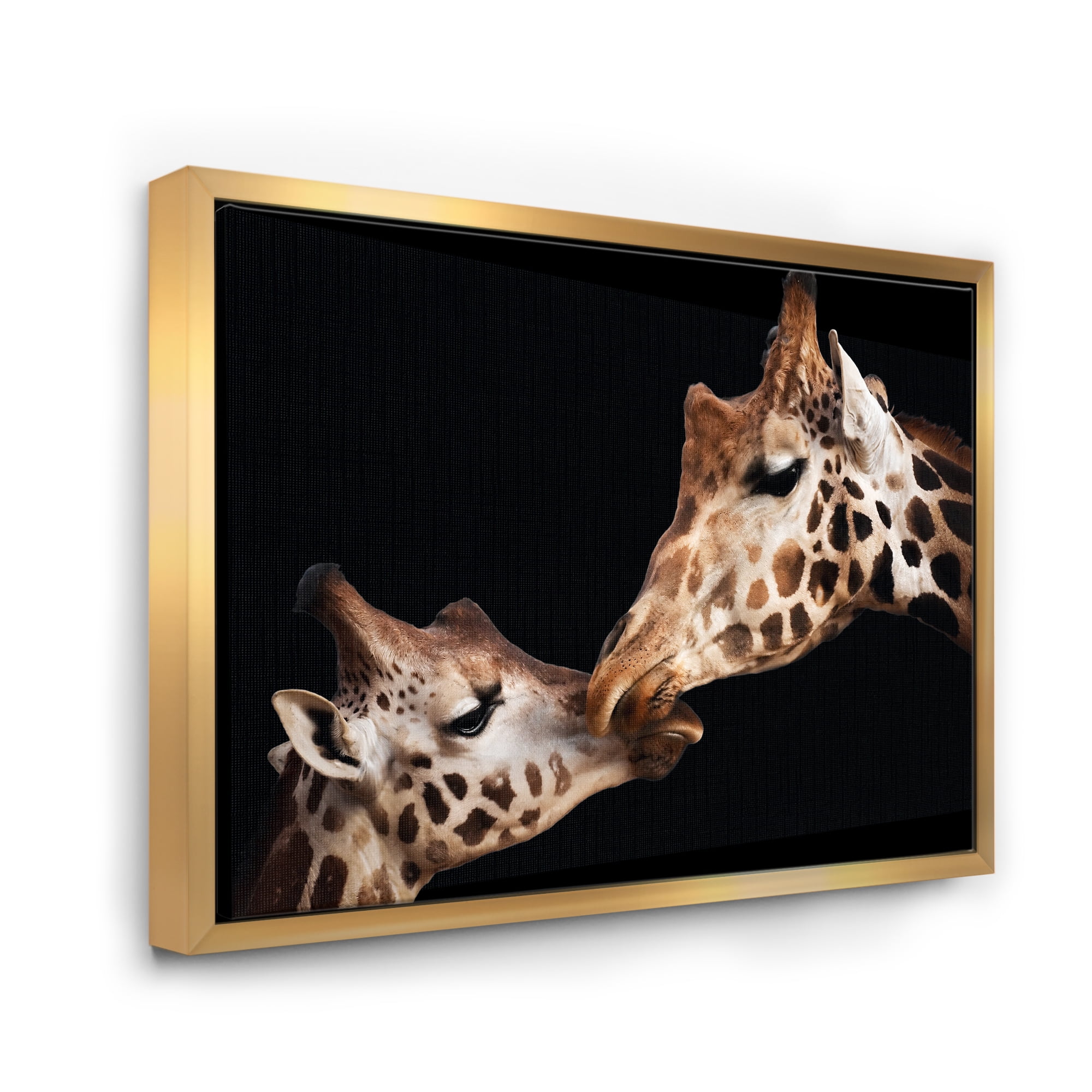 Close UP Of Two Giraffes Kissing II 20 in x 12 in Framed Photography Canvas Art Print, by Designart
