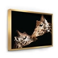 thumbnail image 3 of Close UP Of Two Giraffes Kissing II 20 in x 12 in Framed Photography Canvas Art Print, by Designart, 3 of 5