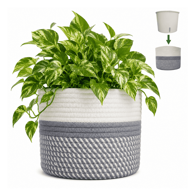 Planterist Maceta Tejida Mediana Autorregable - Moderna Decorativa - Ideal para salas, recámaras, comedores, oficinas, baños y más - Hecha de cuerda de algodón (Cocula)