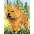 thumbnail image 1 of 11 x 15 In. Norwich Terrier Flag, Garden Size, 1 of 1