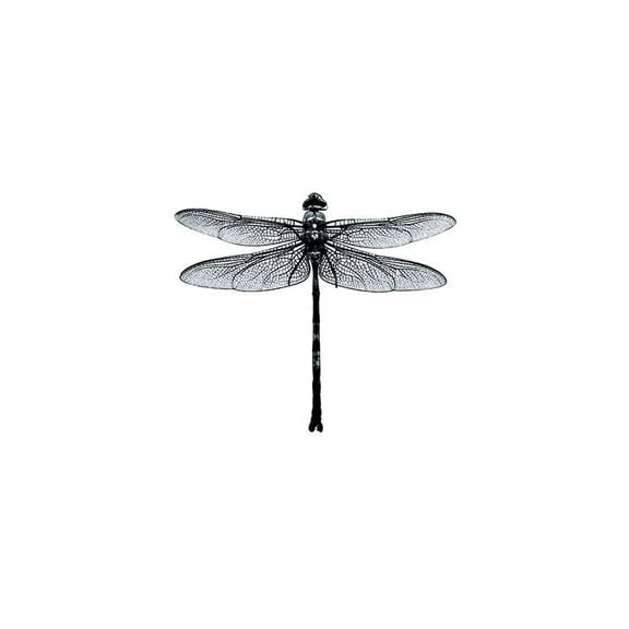 Dragonfly Black And White, Print Wall Art, Modern Wall Decor For Living Room Bedroom, 8x12 UNFRAMED
