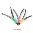 thumbnail image 3 of Pet Cat Dogs Toys Funny Interactive Plush Cat Wand Replacement Head Toy Caterpillar Feather Stick Wand Replacement Head, 3 of 6