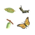 thumbnail image 1 of Maoww Animal Growth Cycle Toy Plastic Simulated Children Life Cycle Set Kid Educational Tool Kit, Animal 1, 1 of 9