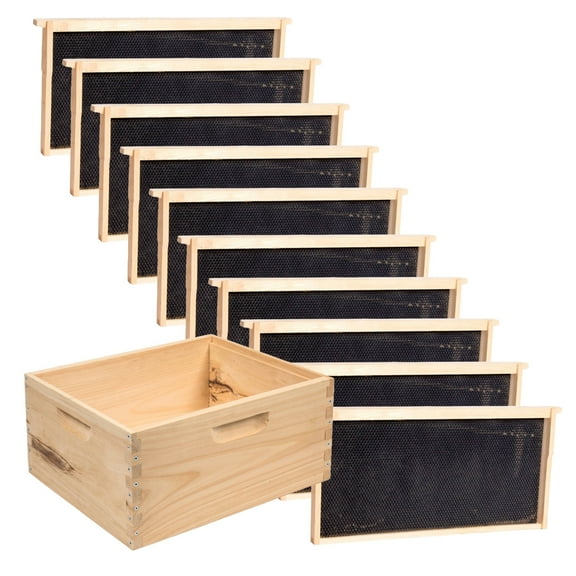 Stoney Acres Beekeeping Beehive Box, 10 Frame Deep Assembled Super or Brood Honeybee Hive Box with Plastic Foundation Frames, Amish Made