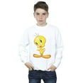 thumbnail image 2 of Looney Tunes Boys Tweety Standing Sweatshirt, 2 of 3