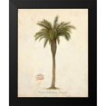 thumbnail image 2 of Fisk, Arnie 12x14 Black Modern Framed Museum Art Print Titled - Date Palm Illustration Â&nbsp;Â&nbsp;Â&nbsp;Â&nbsp;Â&nbsp;Â&nbsp;Â&nbsp;Â&nbsp;Â&nbsp;Â&nbsp;Â&nbsp;Â&nbsp;Â&nbsp;Â&nbsp;, 2 of 5