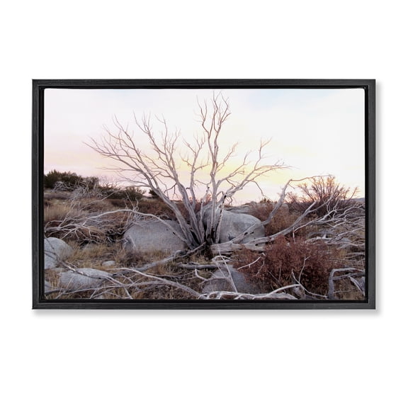 Stupell Industries Rocky Foothills Terrain Landscape & Nature Photography Black Floater Framed Canvas Art Print Wall Art, 25 x 17